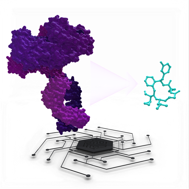 Antibody mimetics