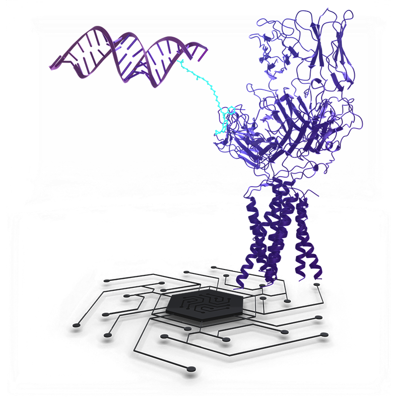 PPI modulators